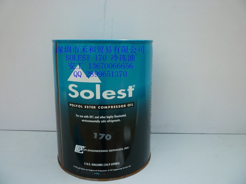 SOLEST 170.jpg