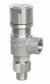 A21W-16P外螺紋彈簧微啟式安全閥.jpg