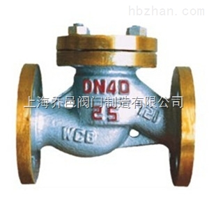 H41B氨用升降式止回閥.jpg