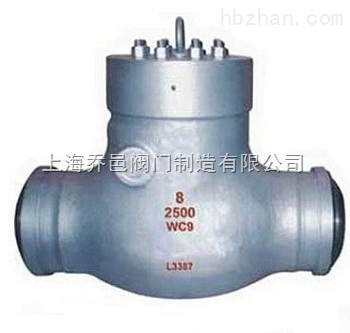 H61Y電站止回閥.jpg