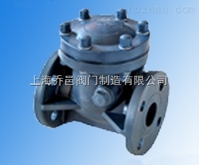 H44X-10S RPP塑料止回閥.jpg